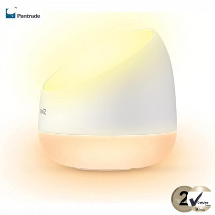 WiZ Squire Portable Lamp 9W Color