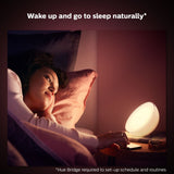 Philips COL Hue Go V2