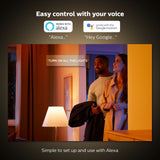 Philips COL Hue Go V2