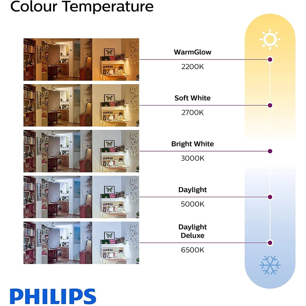 Philips LED Globe E27 7W/10W 2700K/6500K