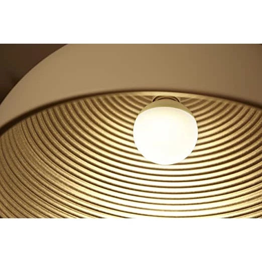 Philips LED Globe E27 7W/10W 2700K/6500K
