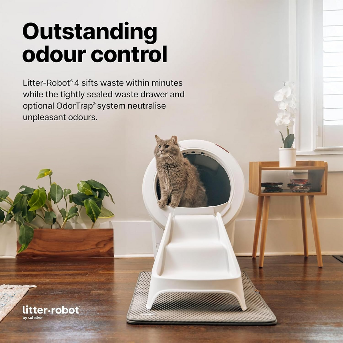 Litter-Robot 4 Ramp