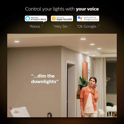 Philips Hue Garnea Downlight