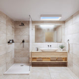Philips Skylight VitaUp