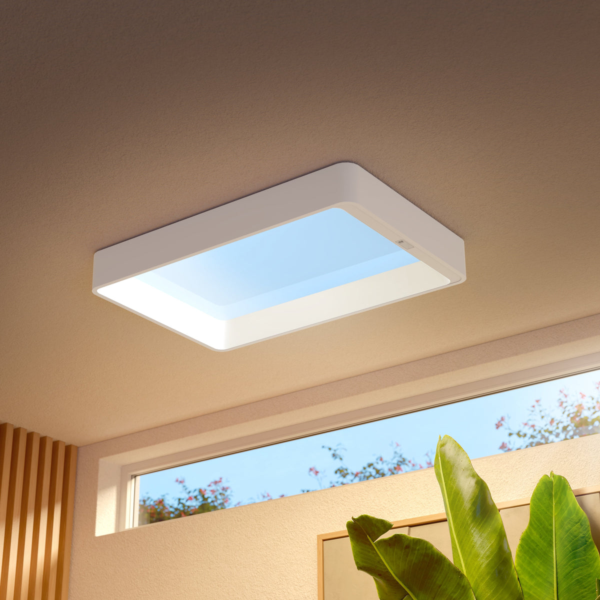 Philips Skylight VitaUp
