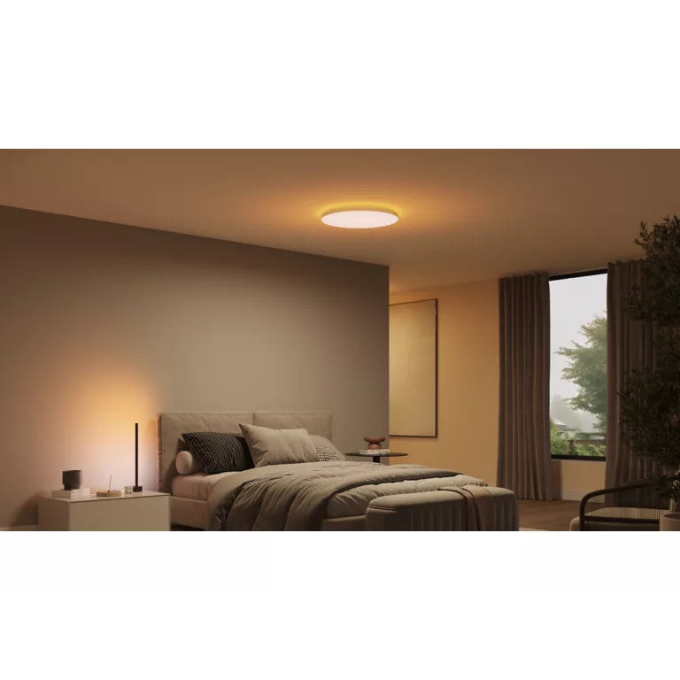 Philips Datura Hue Ceiling RD Small/Slim Large