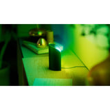 HUE FLARE 2-PACK BLACK/Wall Washer