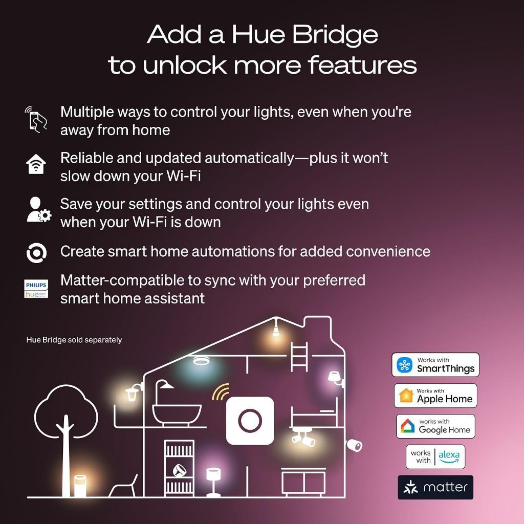 Philips Hue WA 1600lm A67 E27 1P
