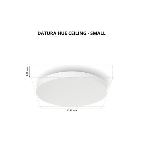 Philips Datura Hue Ceiling RD Small/Slim Large