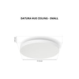 Philips Datura Hue Ceiling RD Small/Slim Large