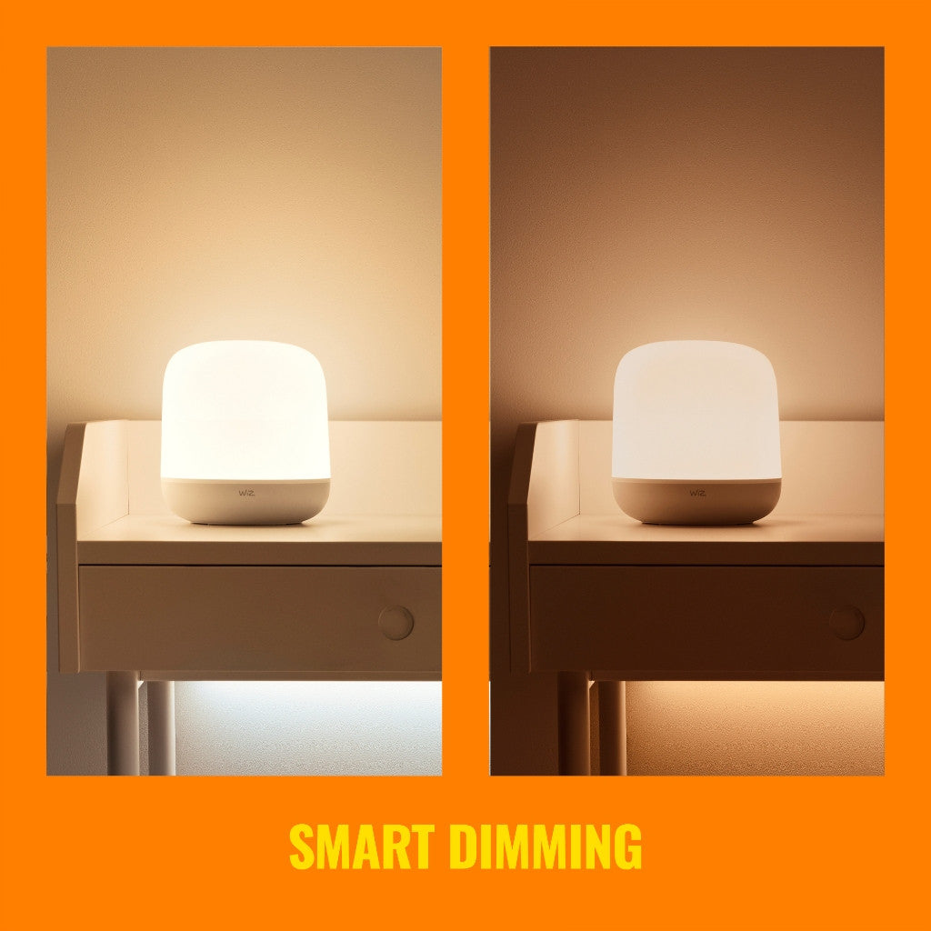 WiZ Portable Light Hero Table Lamp Type - G