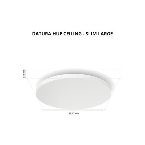 Philips Datura Hue Ceiling RD Small/Slim Large