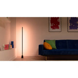 WiZ Gradient Floor Light 1.4m Smart RGBIC Floor Lamp/Singapore/Local Warranty