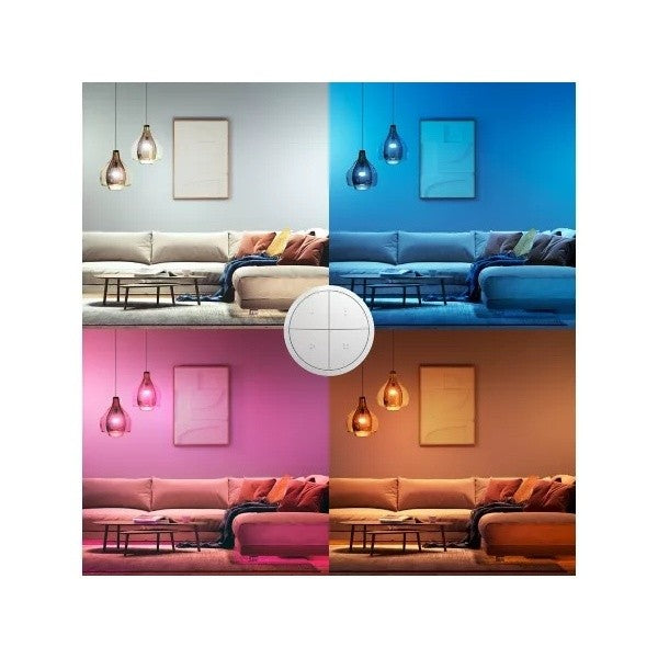 Philips Hue Wall Tap Dial Switch